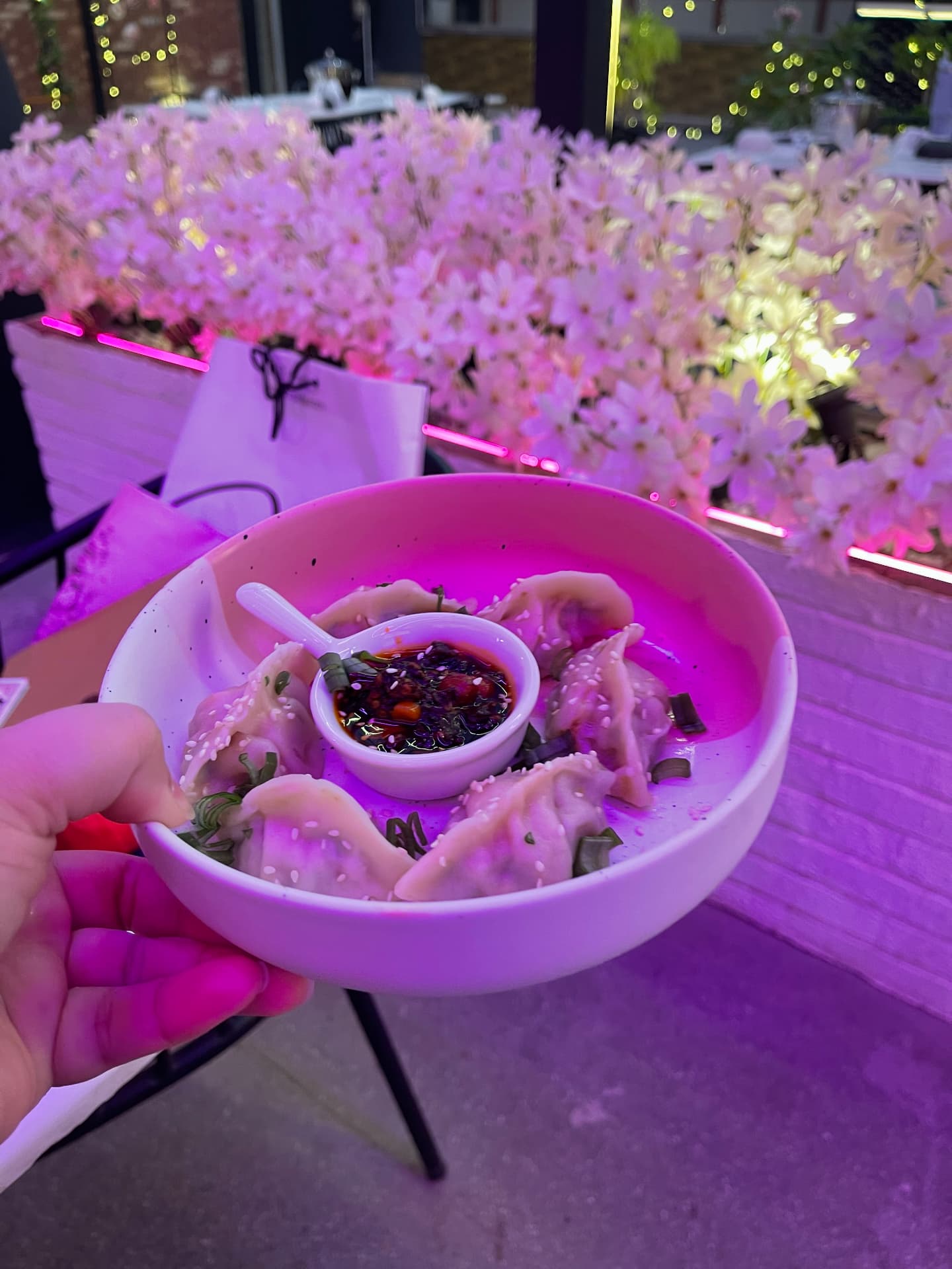 Pakistan’s First Theme-Based Hotpot Experience at Portocolis — photo 5